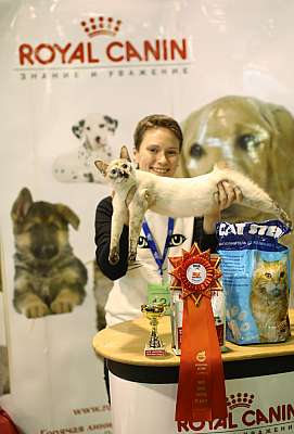 �������� ����� 18-19 ������� 2014 WCF-����� 6-134-169A4154 copy.jpg